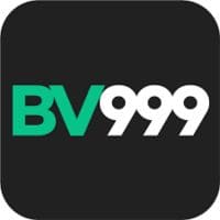 BV9999 Game